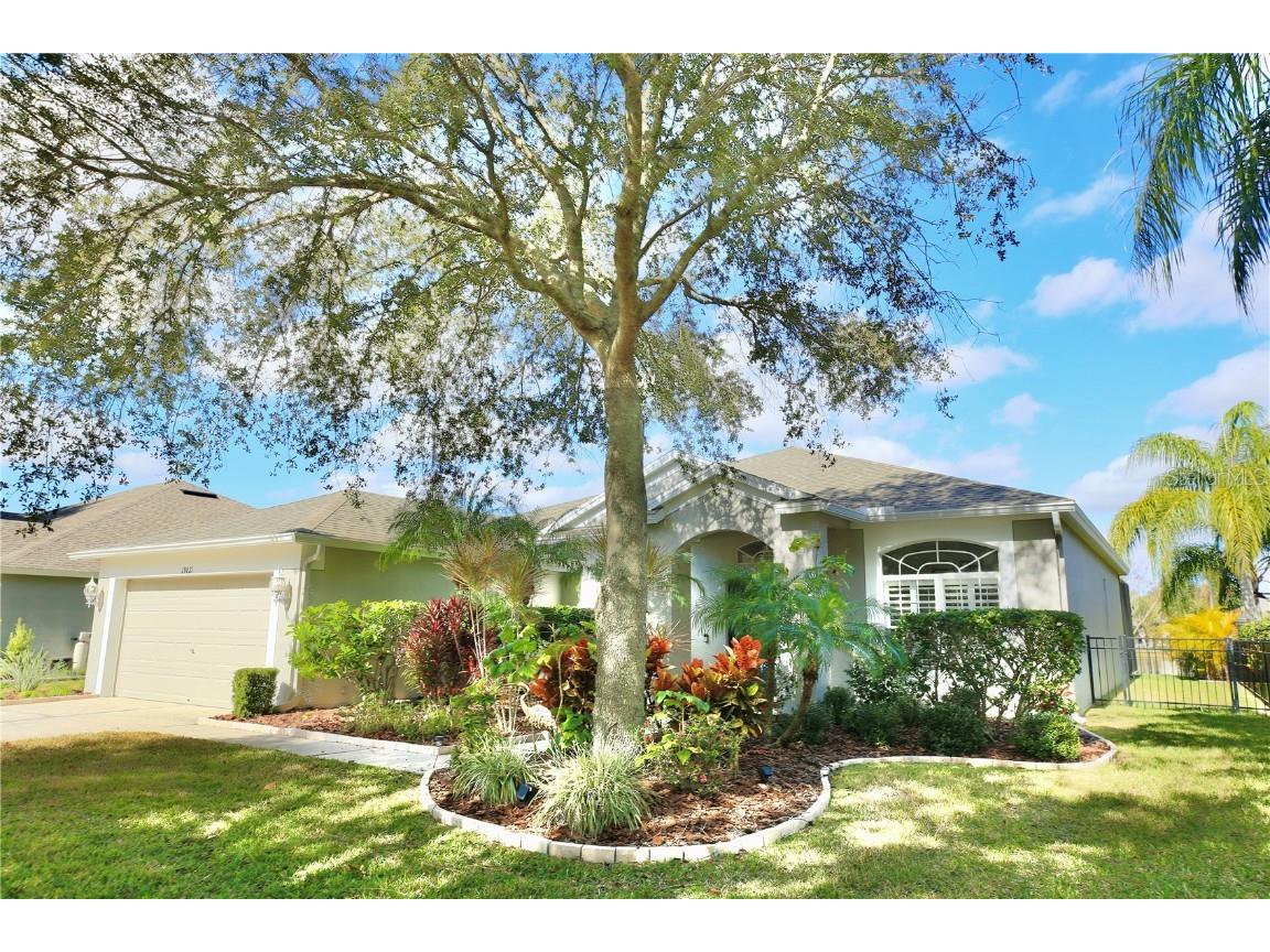 19021 Fern Meadow Loop Lutz FL 33558 T3501014 image1