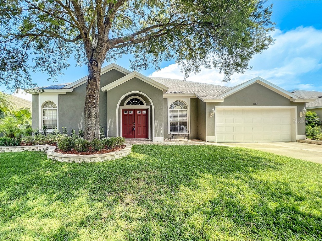 19023 Fern Meadow Loop Lutz FL 33558 T3451526 image1
