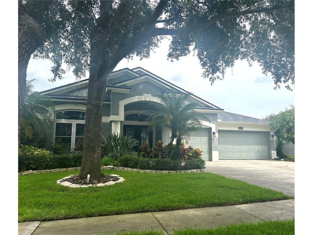 19025 Fern Meadow Loop Lutz FL 33558 A4632781 image1