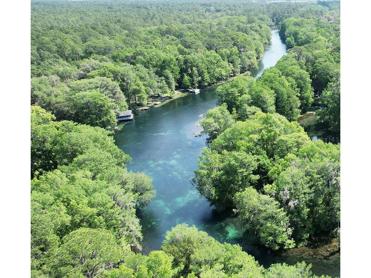 19025 SW 98th Loop Dunnellon FL 34432 - RAINBOW RIVER OM726952 image79