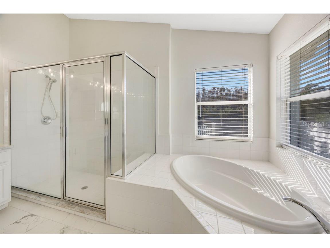 19026 Fishermans Bend Drive Lutz FL 33558 TB8454570 image21