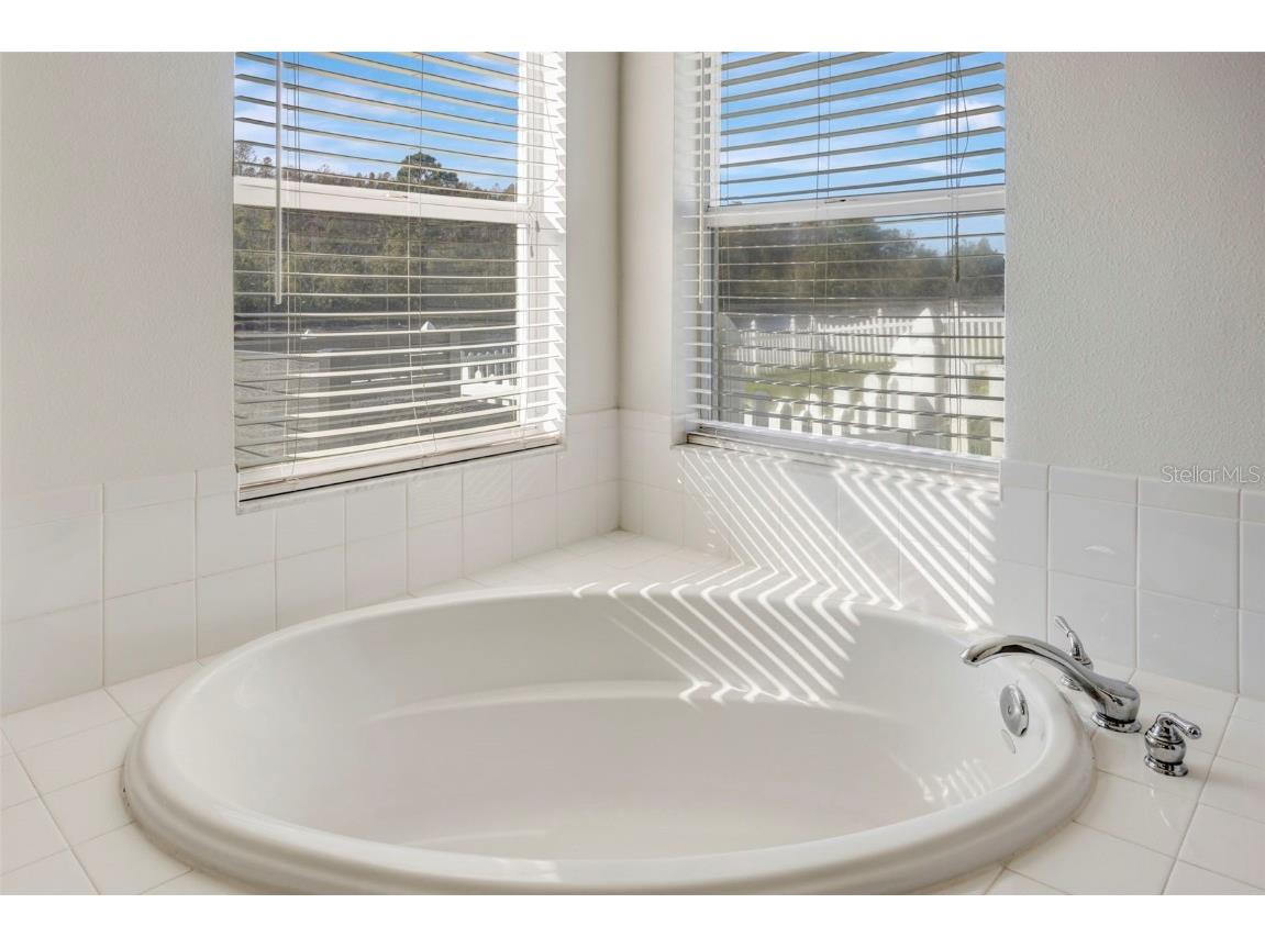 19026 Fishermans Bend Drive Lutz FL 33558 TB8454570 image22