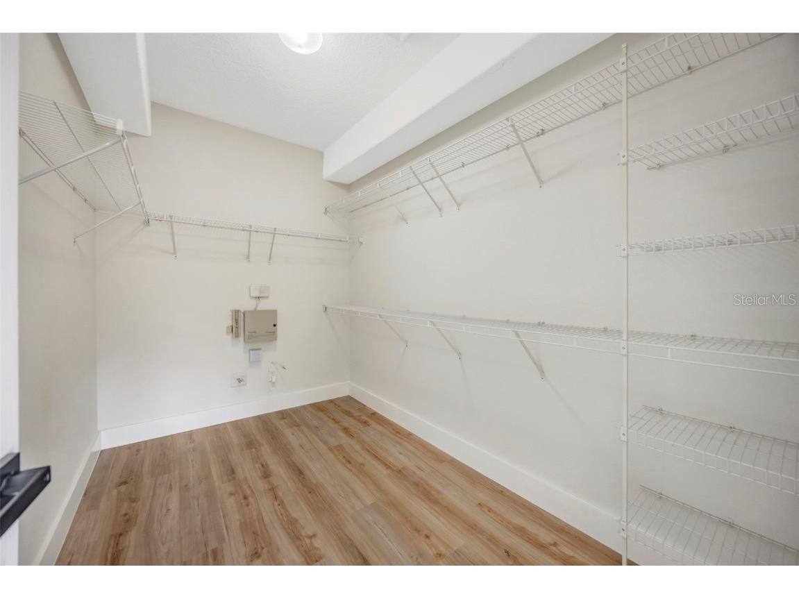 19026 Fishermans Bend Drive Lutz FL 33558 TB8454570 image24