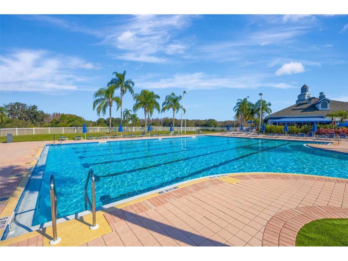 19026 Fishermans Bend Drive Lutz FL 33558 TB8454570 image43