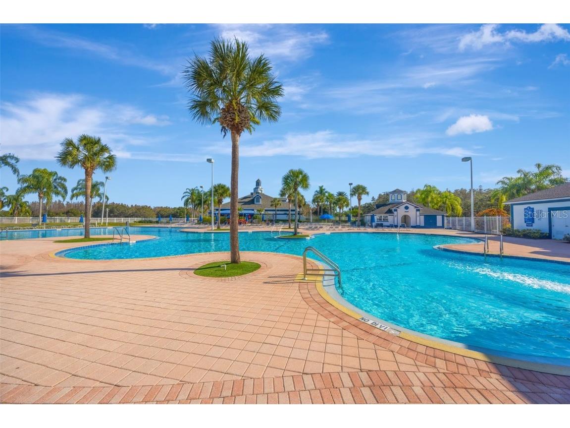 19026 Fishermans Bend Drive Lutz FL 33558 TB8454570 image44