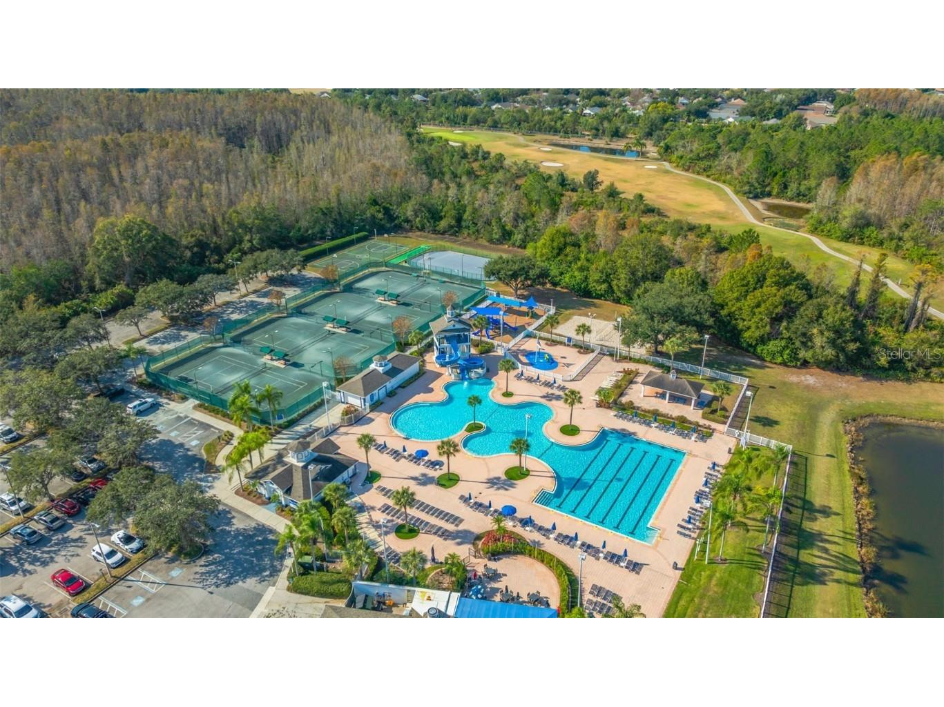 19026 Fishermans Bend Drive Lutz FL 33558 TB8454570 image50