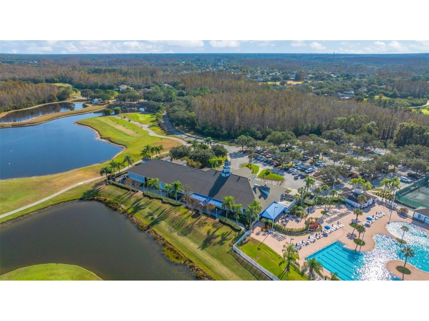 19026 Fishermans Bend Drive Lutz FL 33558 TB8454570 image51