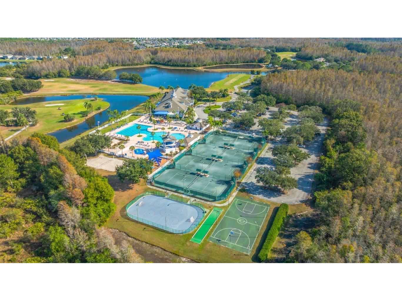 19026 Fishermans Bend Drive Lutz FL 33558 TB8454570 image54