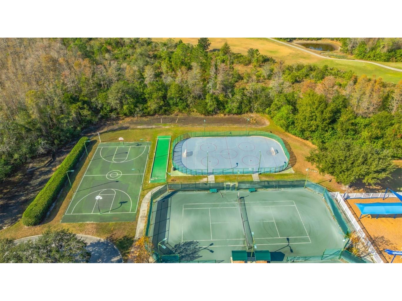 19026 Fishermans Bend Drive Lutz FL 33558 TB8454570 image55