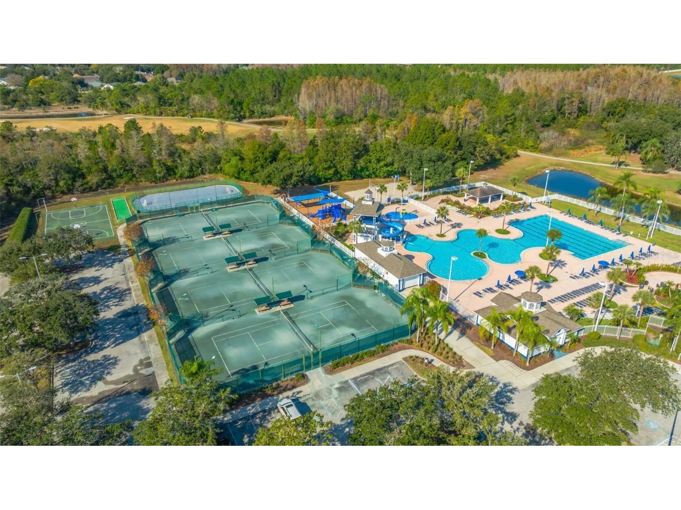 19026 Fishermans Bend Drive Lutz FL 33558 TB8454570 image56