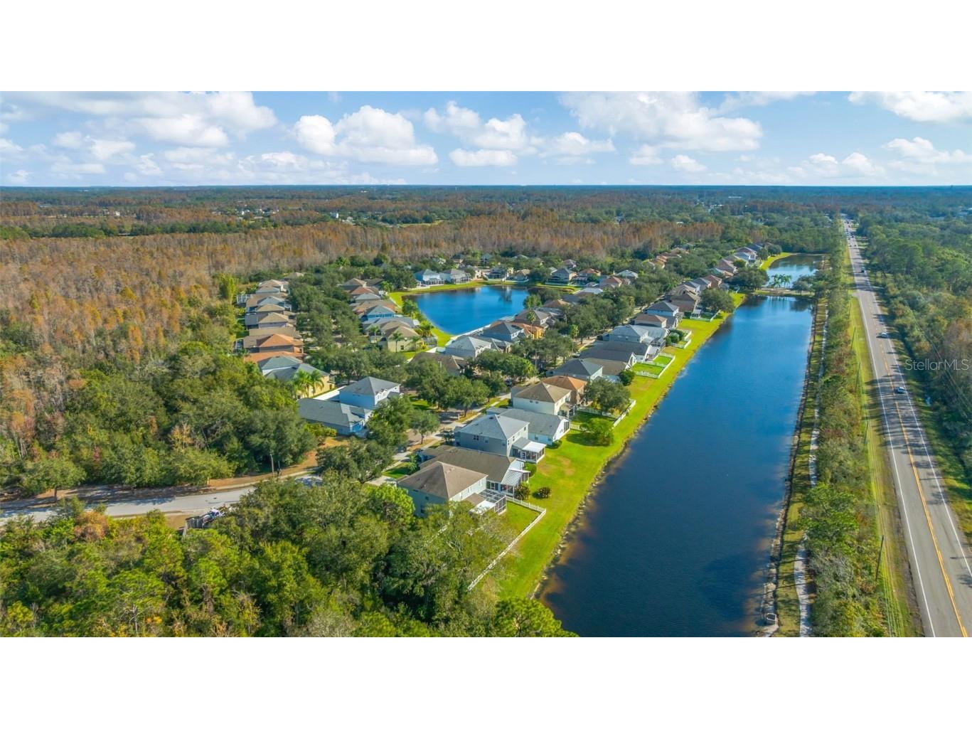 19026 Fishermans Bend Drive Lutz FL 33558 TB8454570 image57