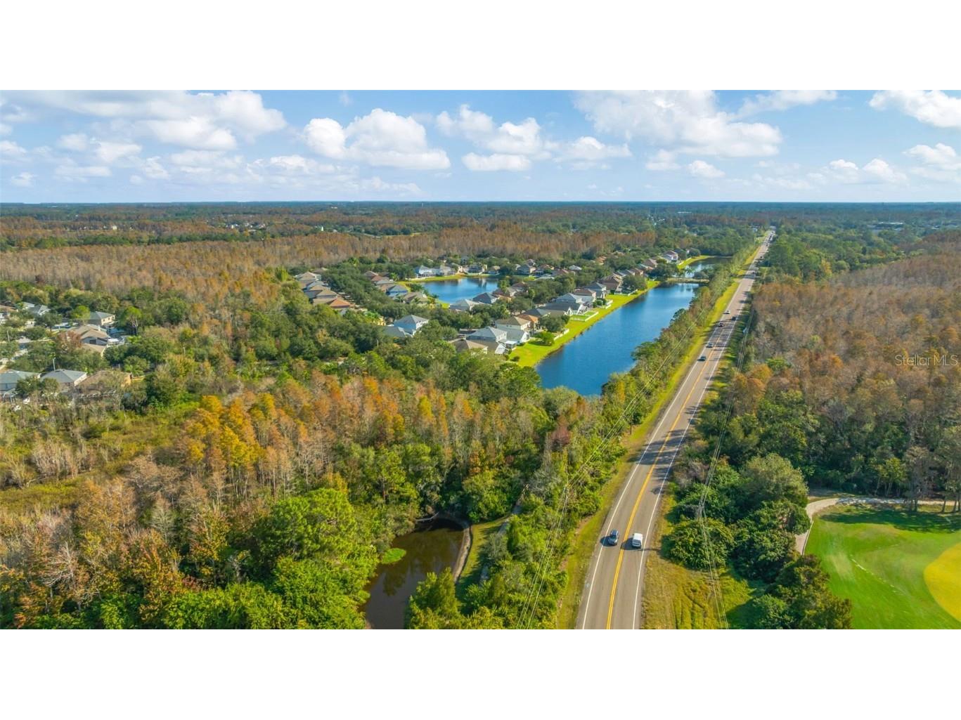 19026 Fishermans Bend Drive Lutz FL 33558 TB8454570 image58