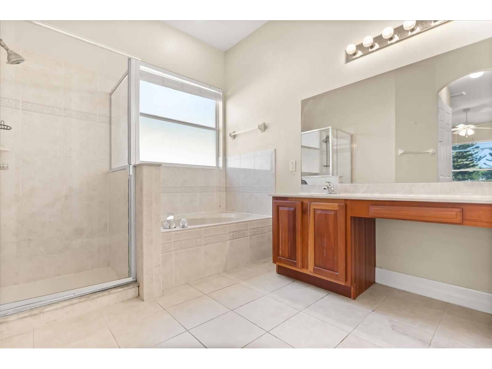 19027 Dove Creek Drive Tampa FL 33647 TB8499729 image11