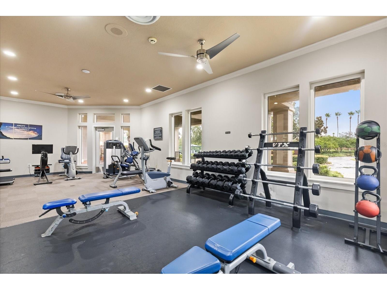 19027 Dove Creek Drive Tampa FL 33647 TB8499729 image21
