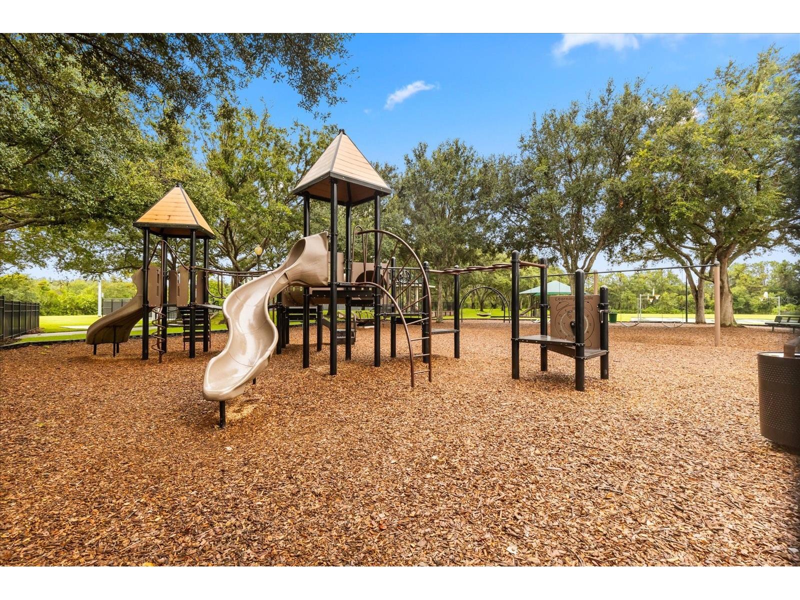 19027 Dove Creek Drive Tampa FL 33647 TB8499729 image22