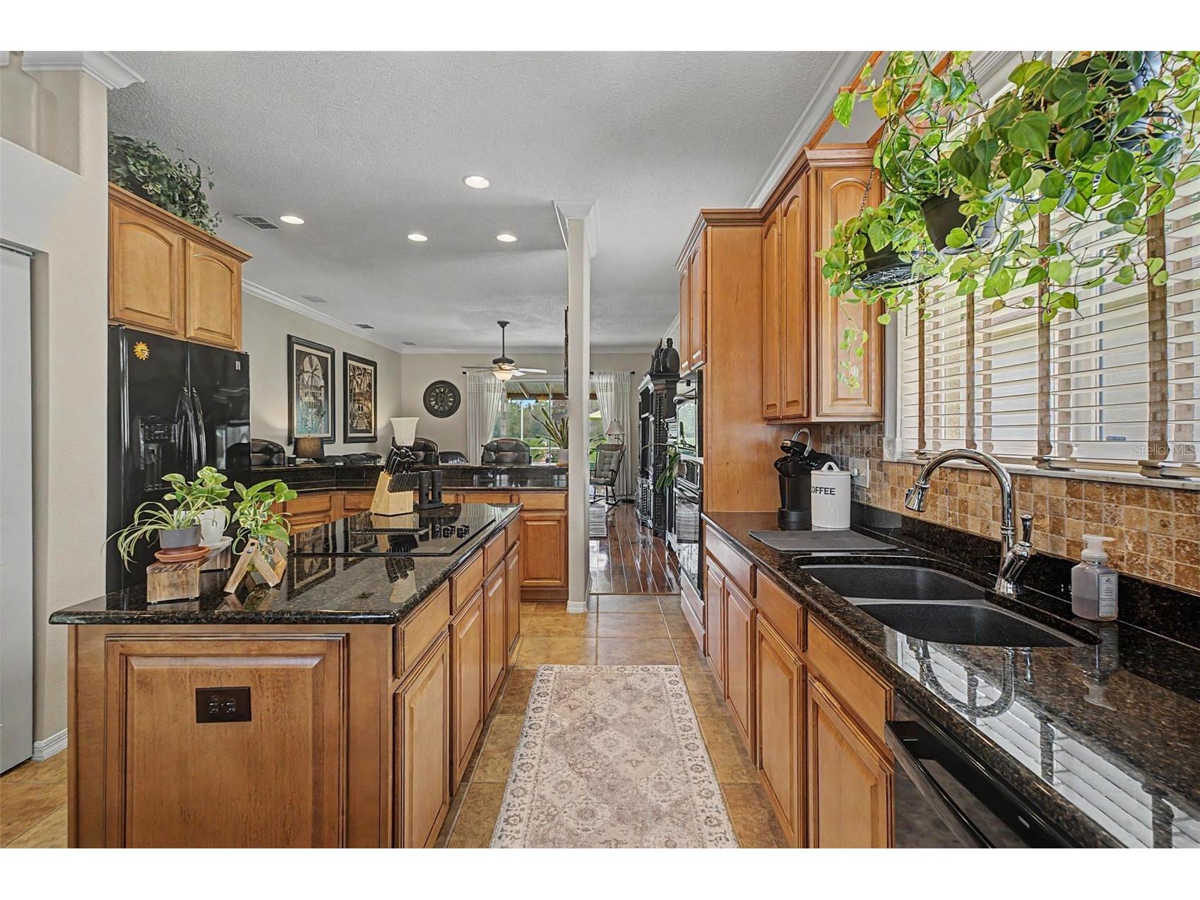 19027 Weatherstone Drive Tampa FL 33647 TB8519997 image10