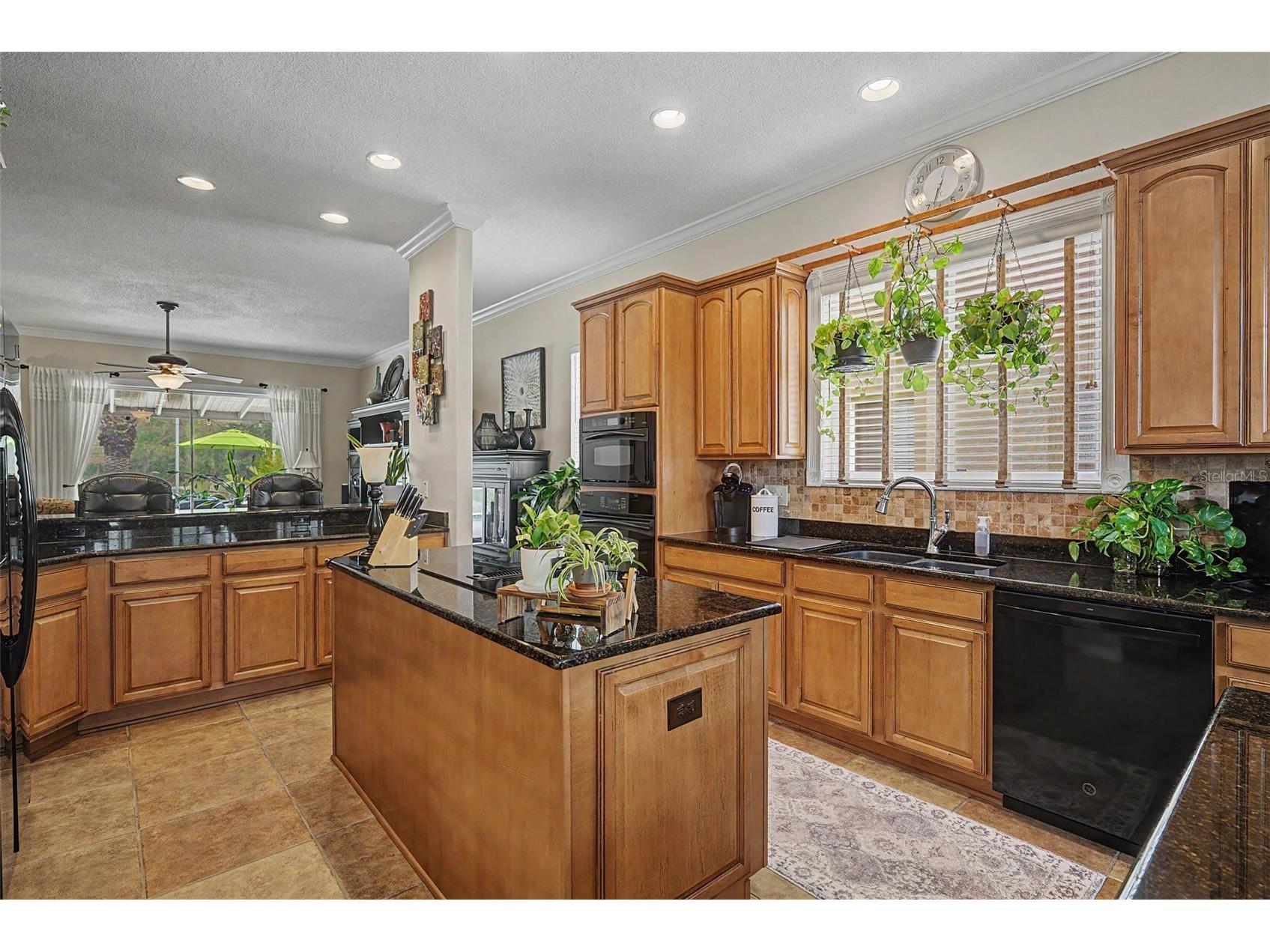 19027 Weatherstone Drive Tampa FL 33647 TB8519997 image11