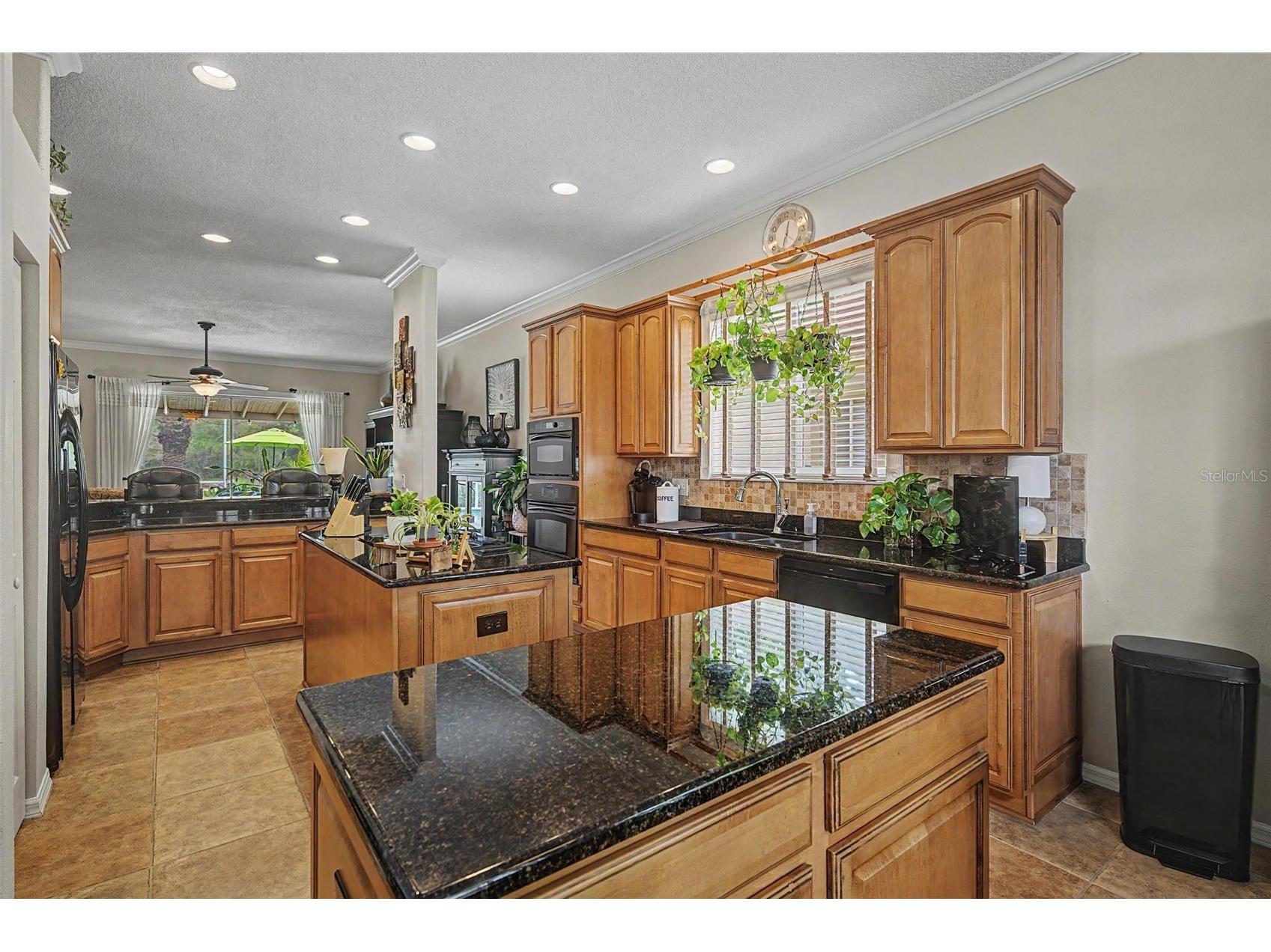 19027 Weatherstone Drive Tampa FL 33647 TB8519997 image12