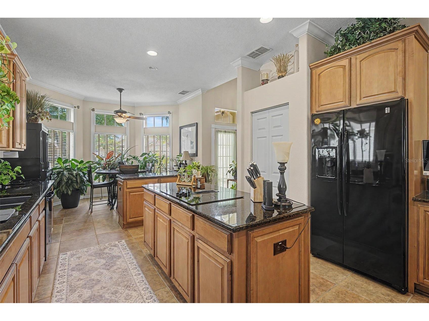 19027 Weatherstone Drive Tampa FL 33647 TB8519997 image13