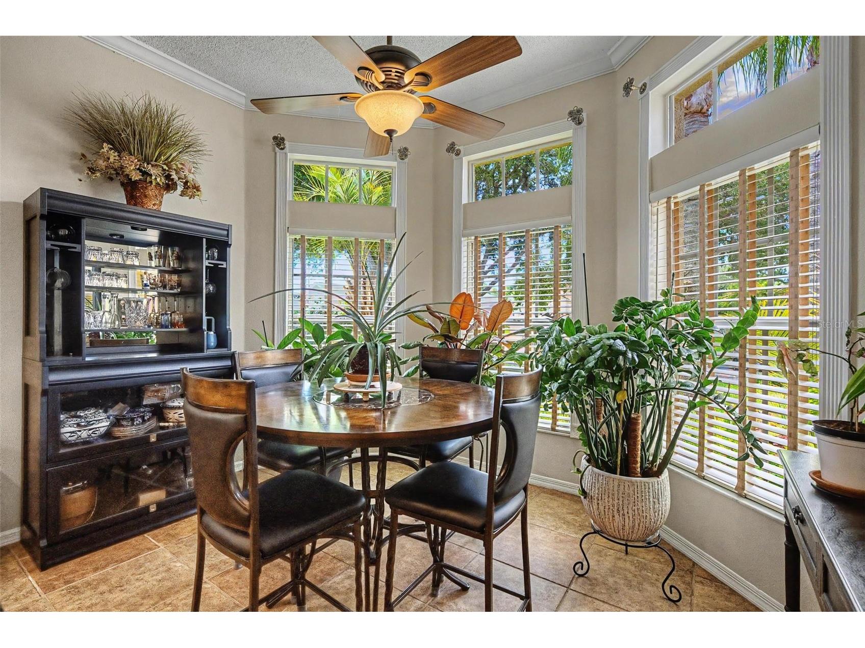 19027 Weatherstone Drive Tampa FL 33647 TB8519997 image14