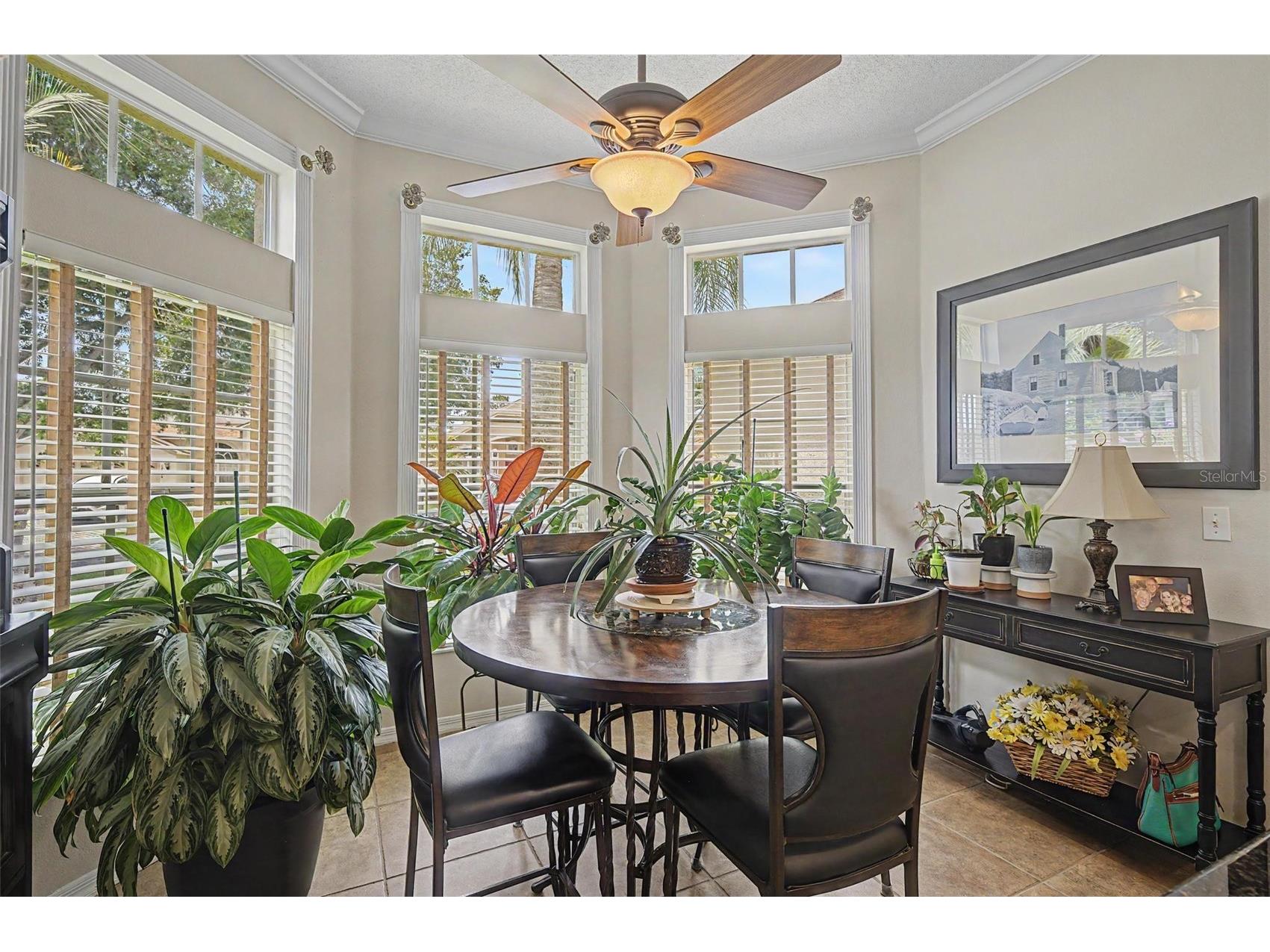 19027 Weatherstone Drive Tampa FL 33647 TB8519997 image16
