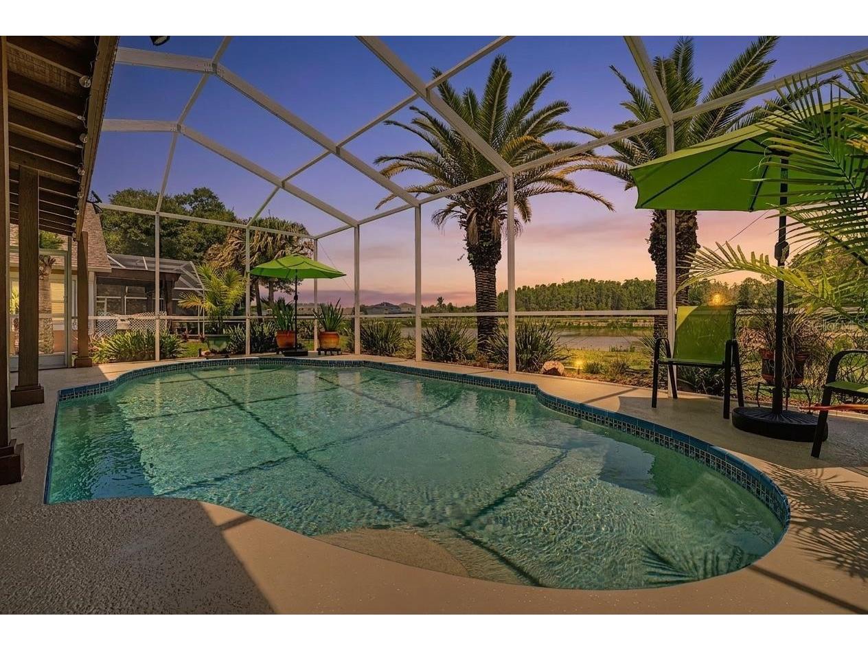 19027 Weatherstone Drive Tampa FL 33647 TB8519997 image2