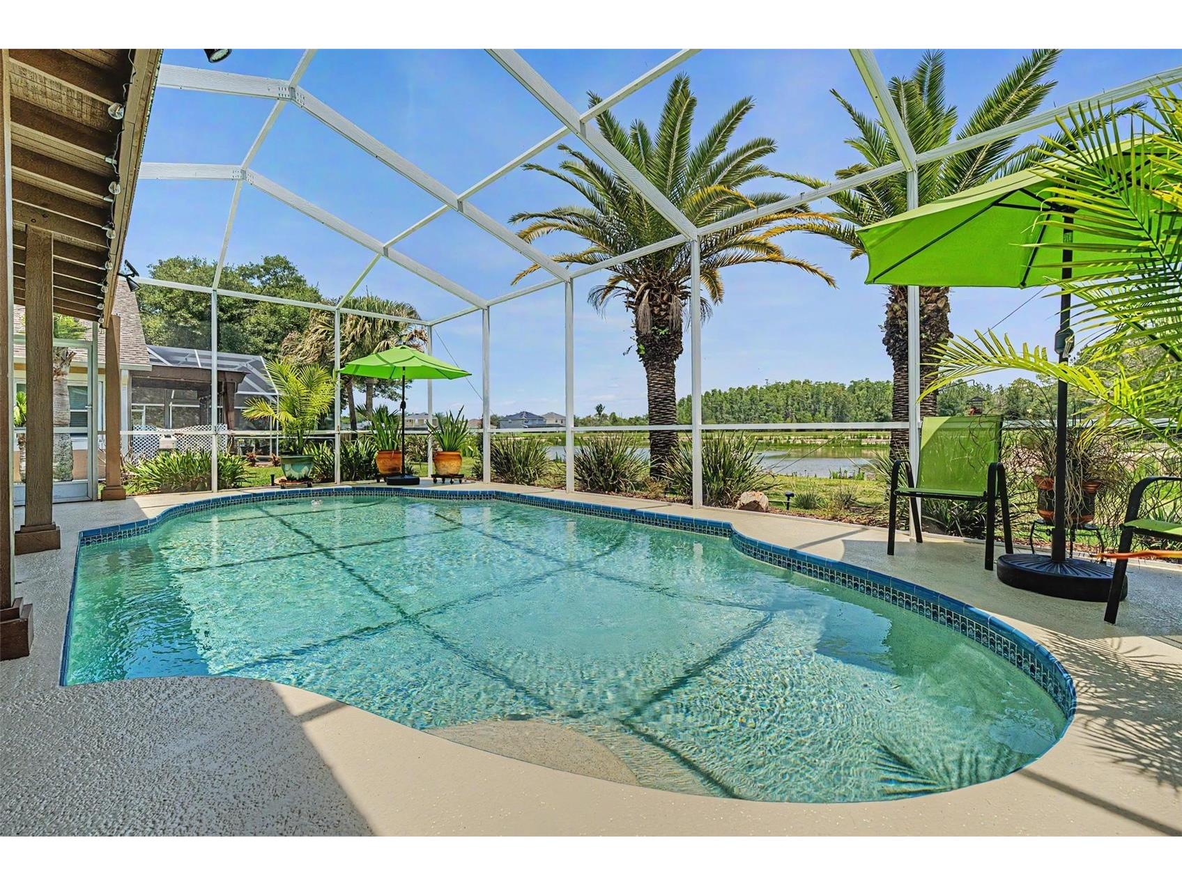19027 Weatherstone Drive Tampa FL 33647 TB8519997 image33