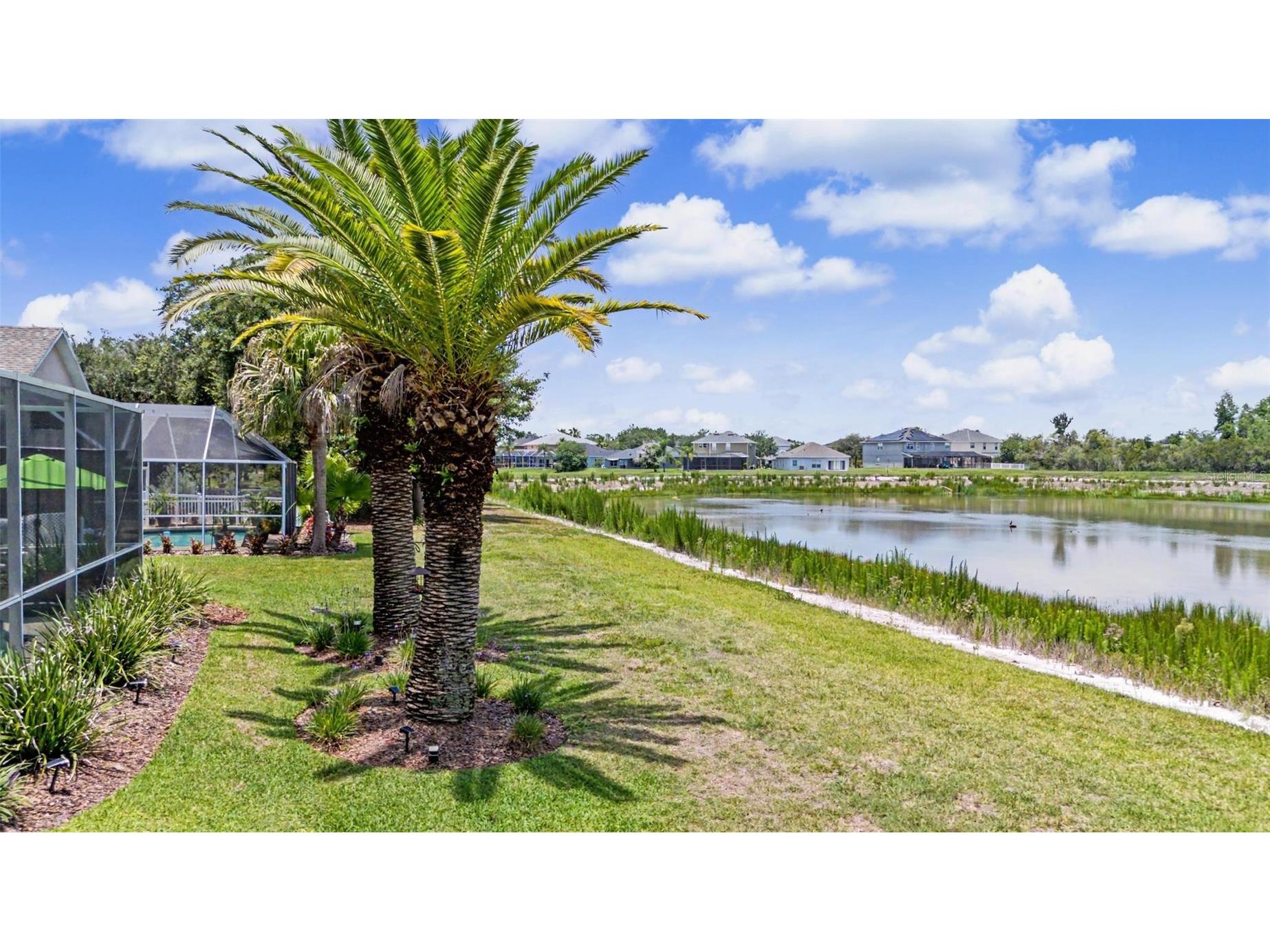 19027 Weatherstone Drive Tampa FL 33647 TB8519997 image34