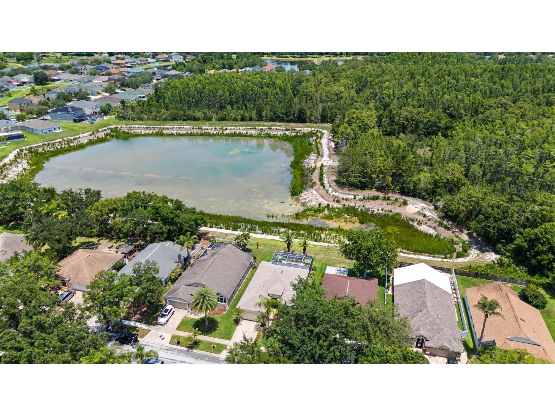 19027 Weatherstone Drive Tampa FL 33647 TB8519997 image40