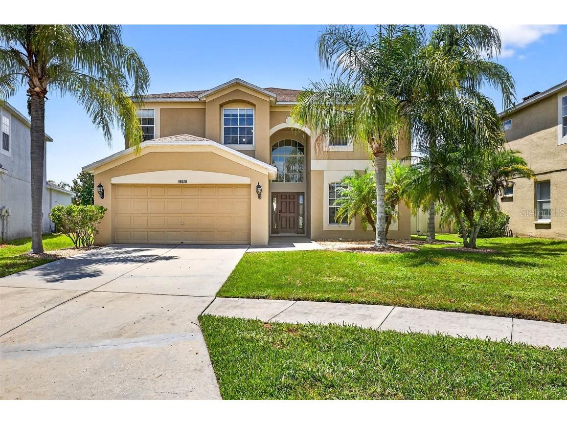 19028 Narimore Drive Land O Lakes FL 34638 TB8400554 image1
