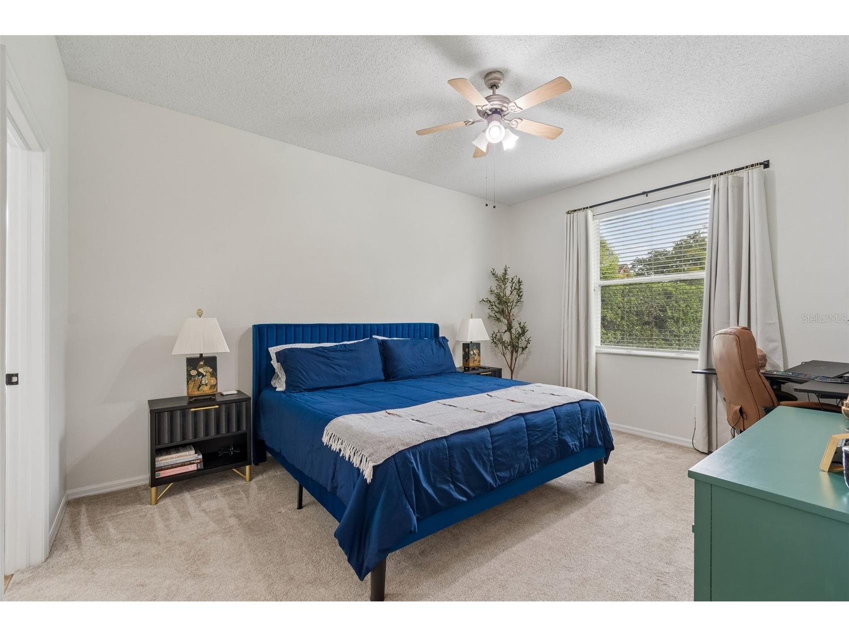 19029 Chemille Drive Lutz FL 33558 TB8529610 image37
