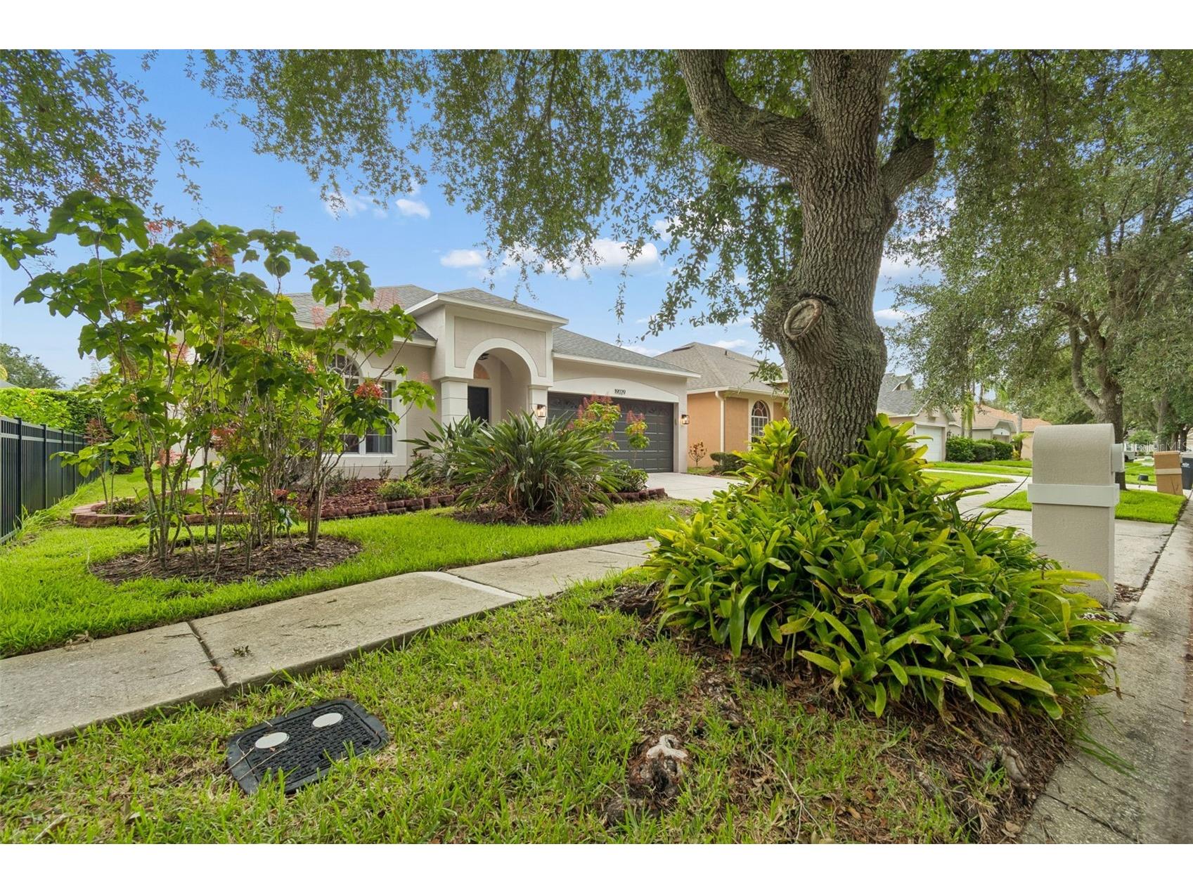 19029 Chemille Drive Lutz FL 33558 TB8529610 image4