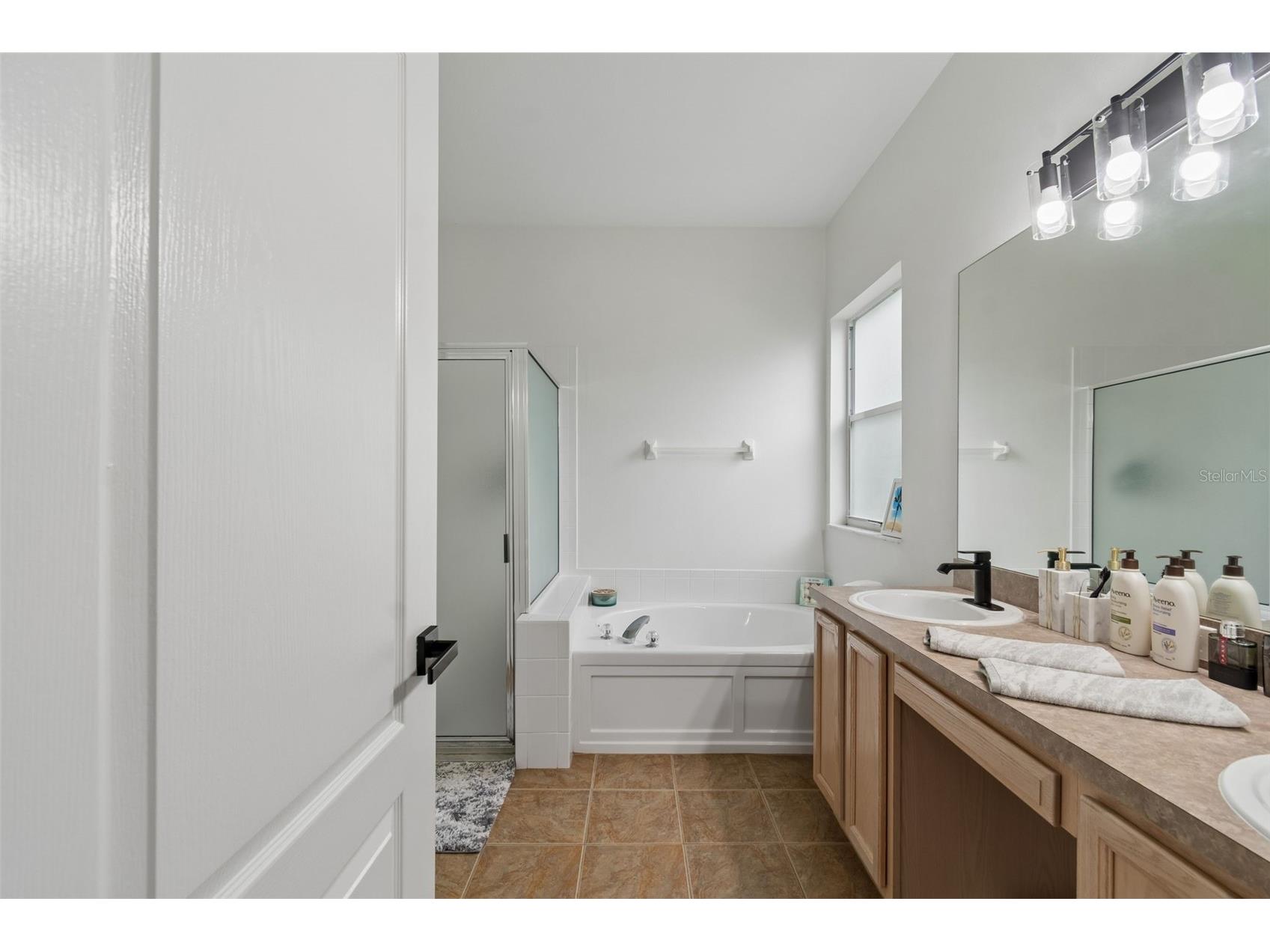 19029 Chemille Drive Lutz FL 33558 TB8529610 image40