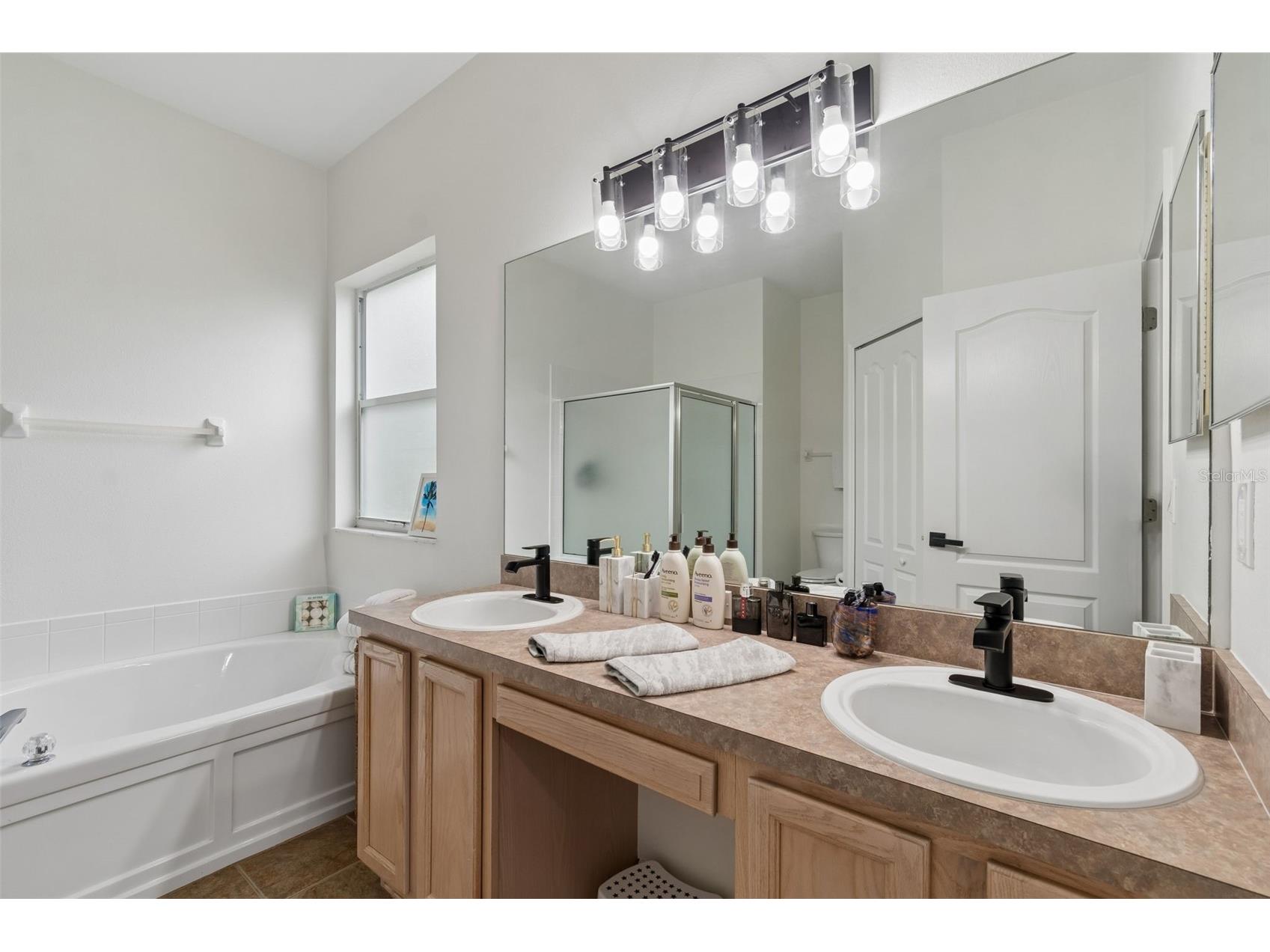 19029 Chemille Drive Lutz FL 33558 TB8529610 image41