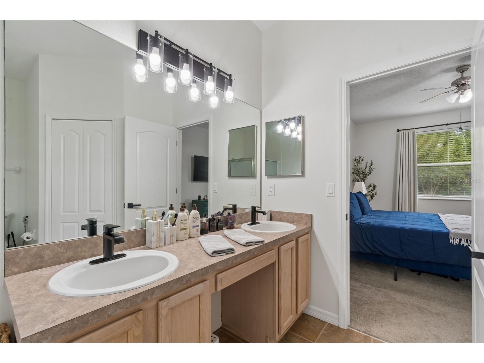 19029 Chemille Drive Lutz FL 33558 TB8529610 image42