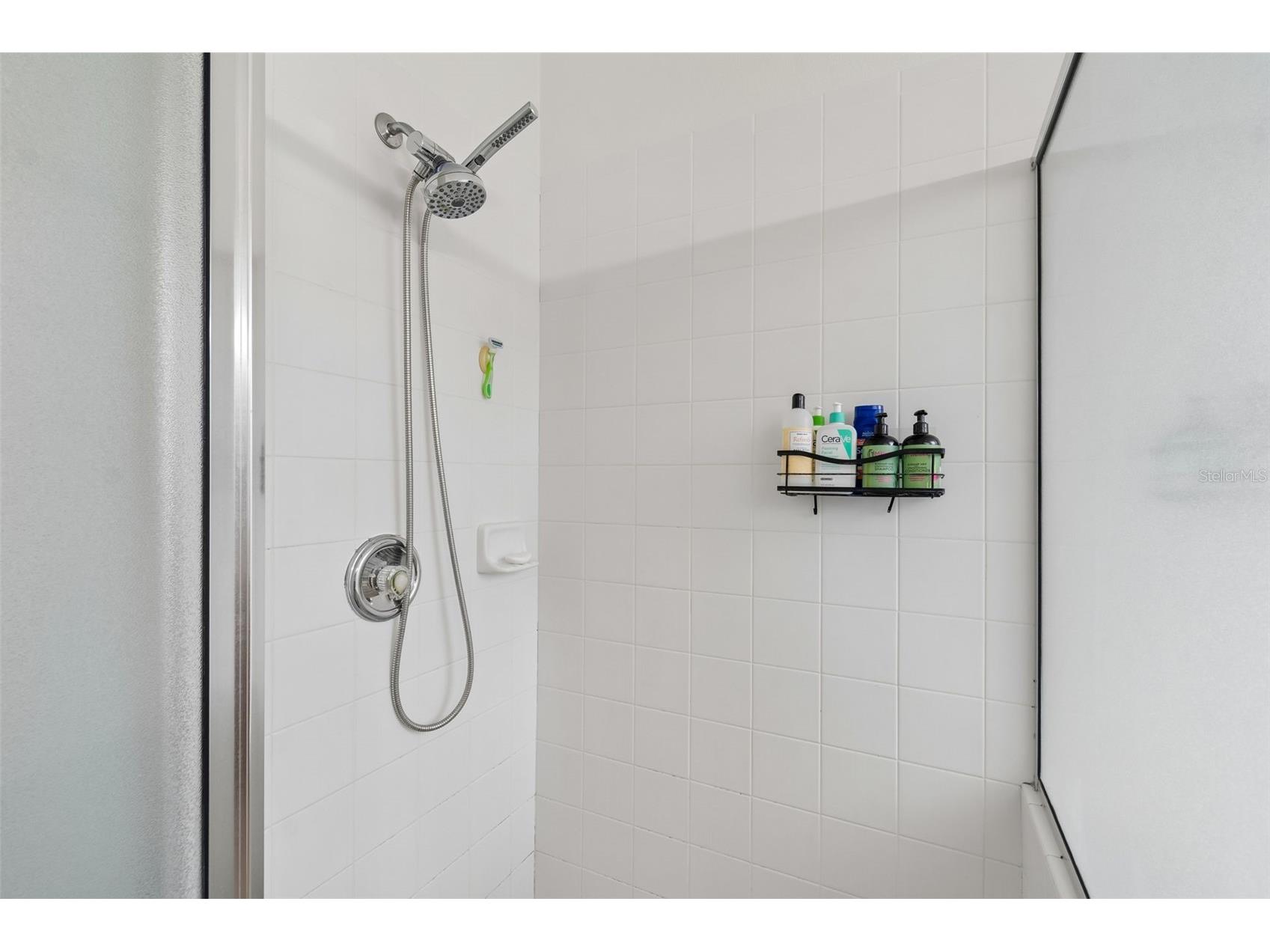 19029 Chemille Drive Lutz FL 33558 TB8529610 image45