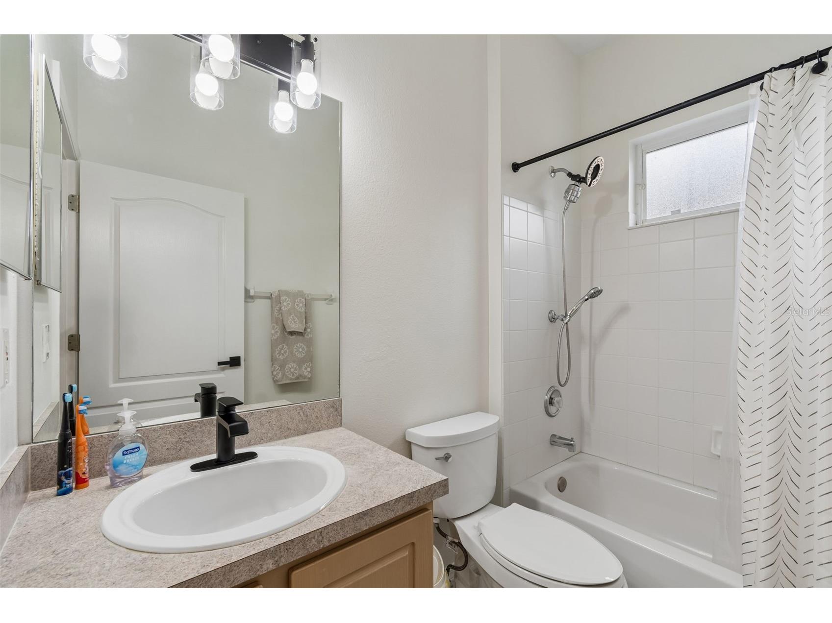 19029 Chemille Drive Lutz FL 33558 TB8529610 image51