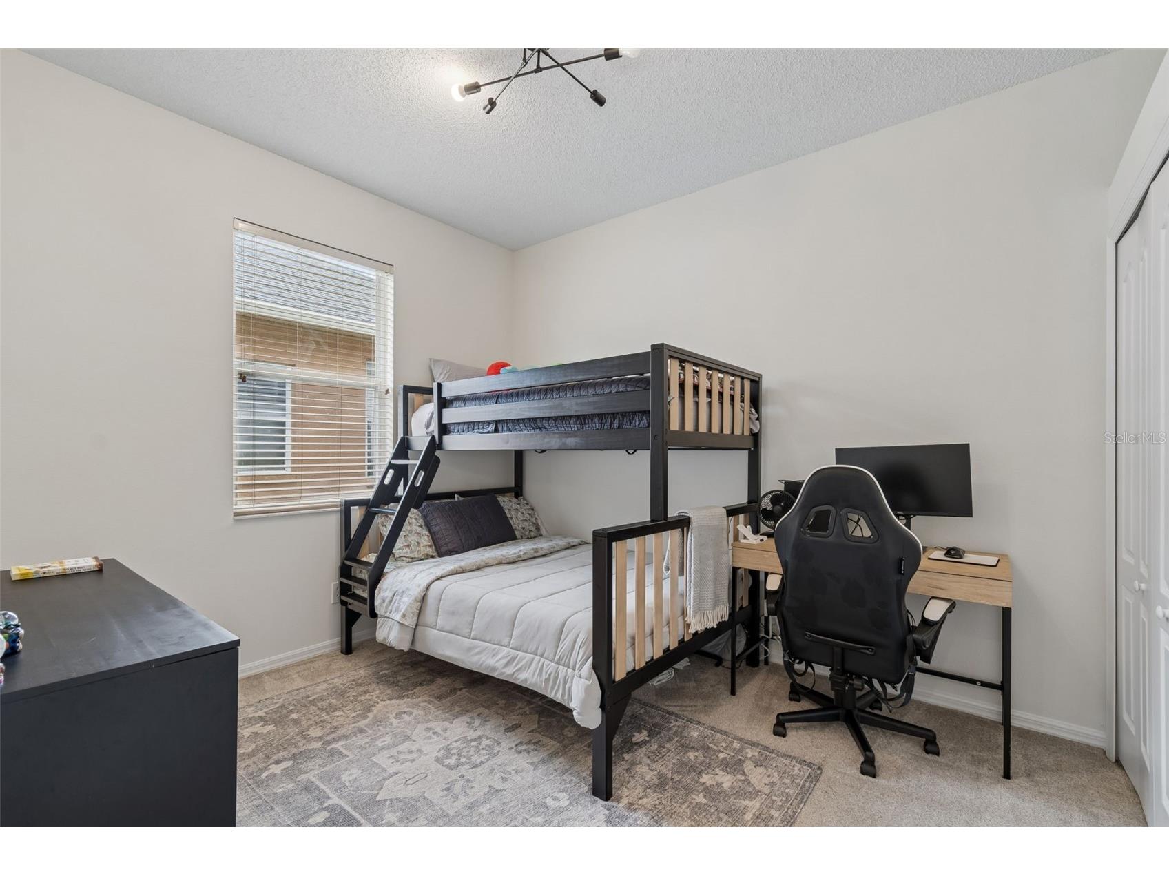 19029 Chemille Drive Lutz FL 33558 TB8529610 image52