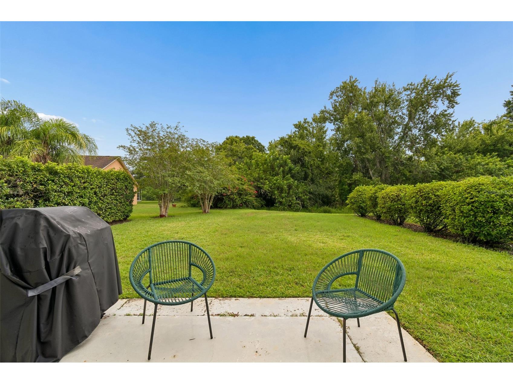 19029 Chemille Drive Lutz FL 33558 TB8529610 image54