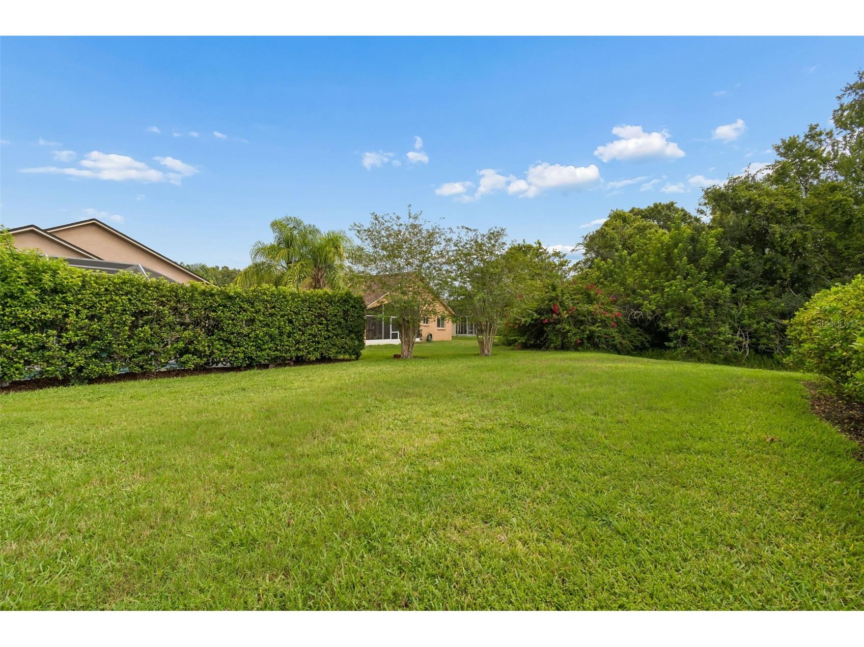 19029 Chemille Drive Lutz FL 33558 TB8529610 image57