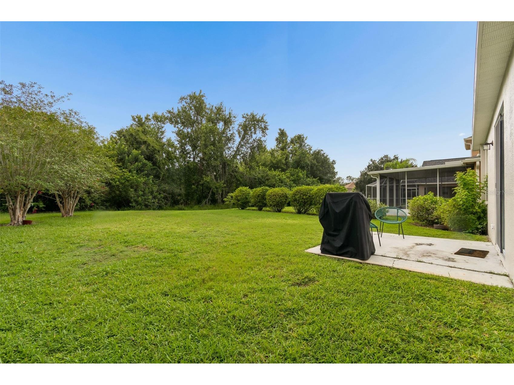 19029 Chemille Drive Lutz FL 33558 TB8529610 image59