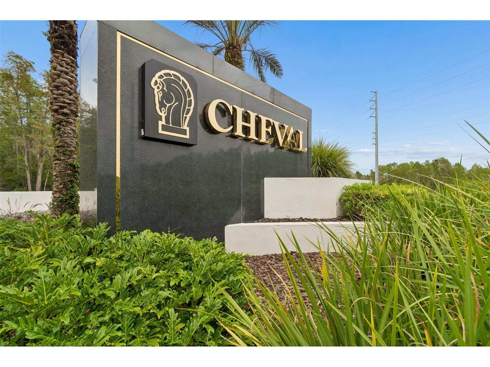19029 Chemille Drive Lutz FL 33558 TB8529610 image61