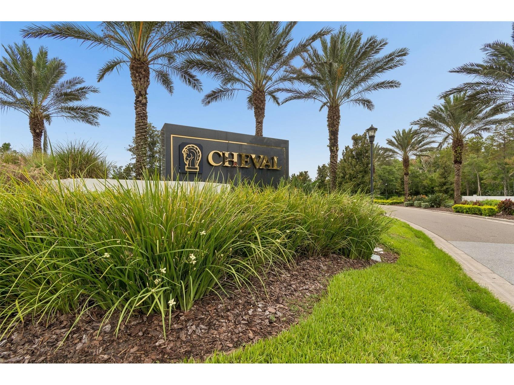 19029 Chemille Drive Lutz FL 33558 TB8529610 image62