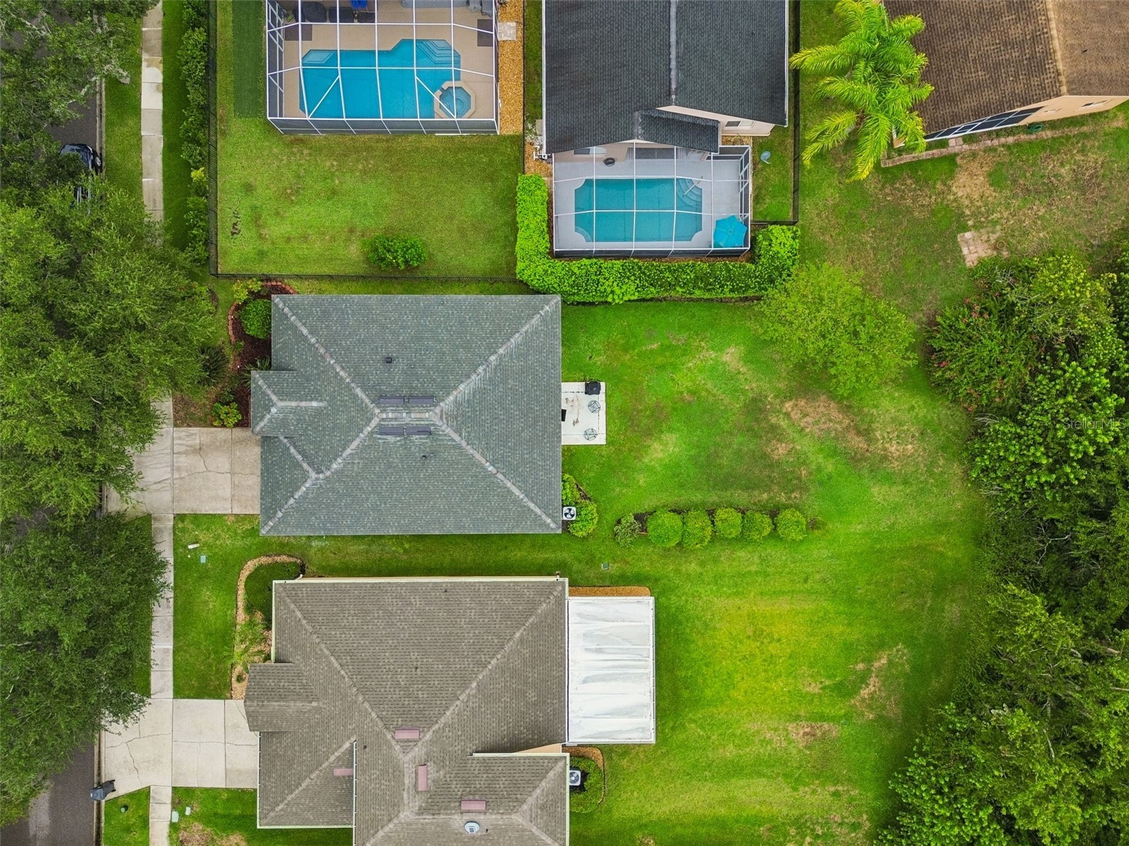 19029 Chemille Drive Lutz FL 33558 TB8529610 image64