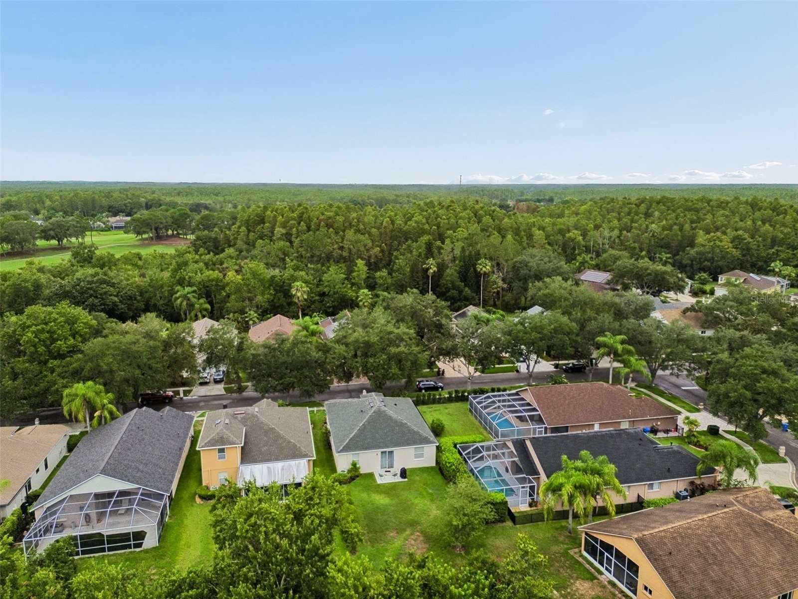 19029 Chemille Drive Lutz FL 33558 TB8529610 image65