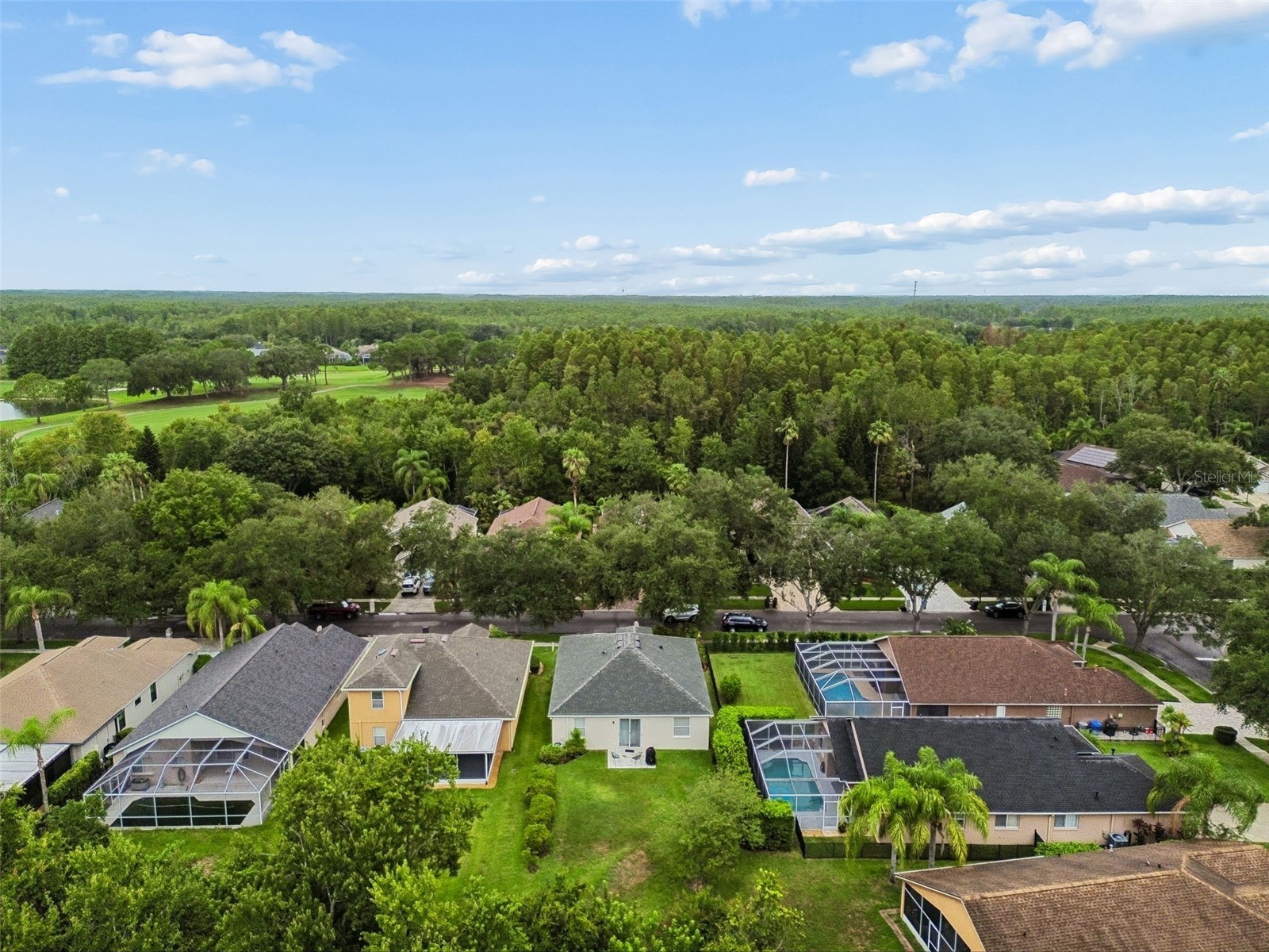 19029 Chemille Drive Lutz FL 33558 TB8529610 image66