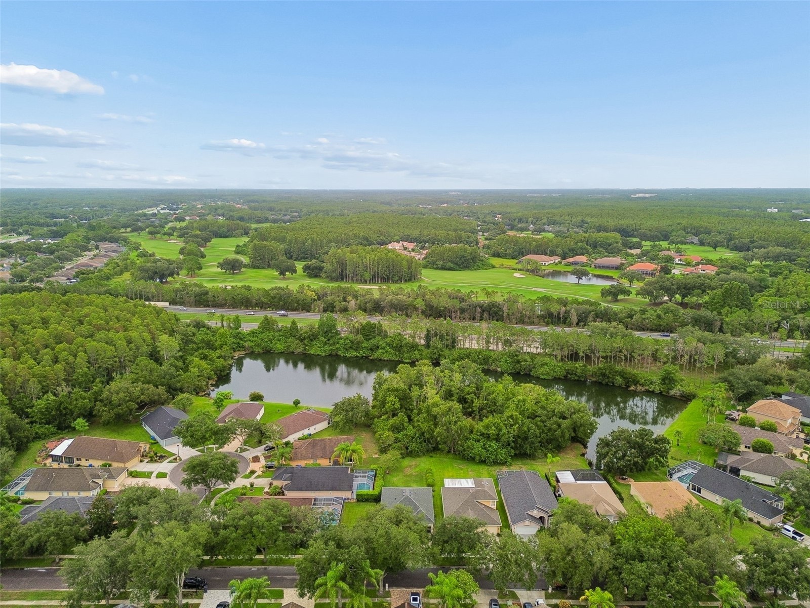 19029 Chemille Drive Lutz FL 33558 TB8529610 image67