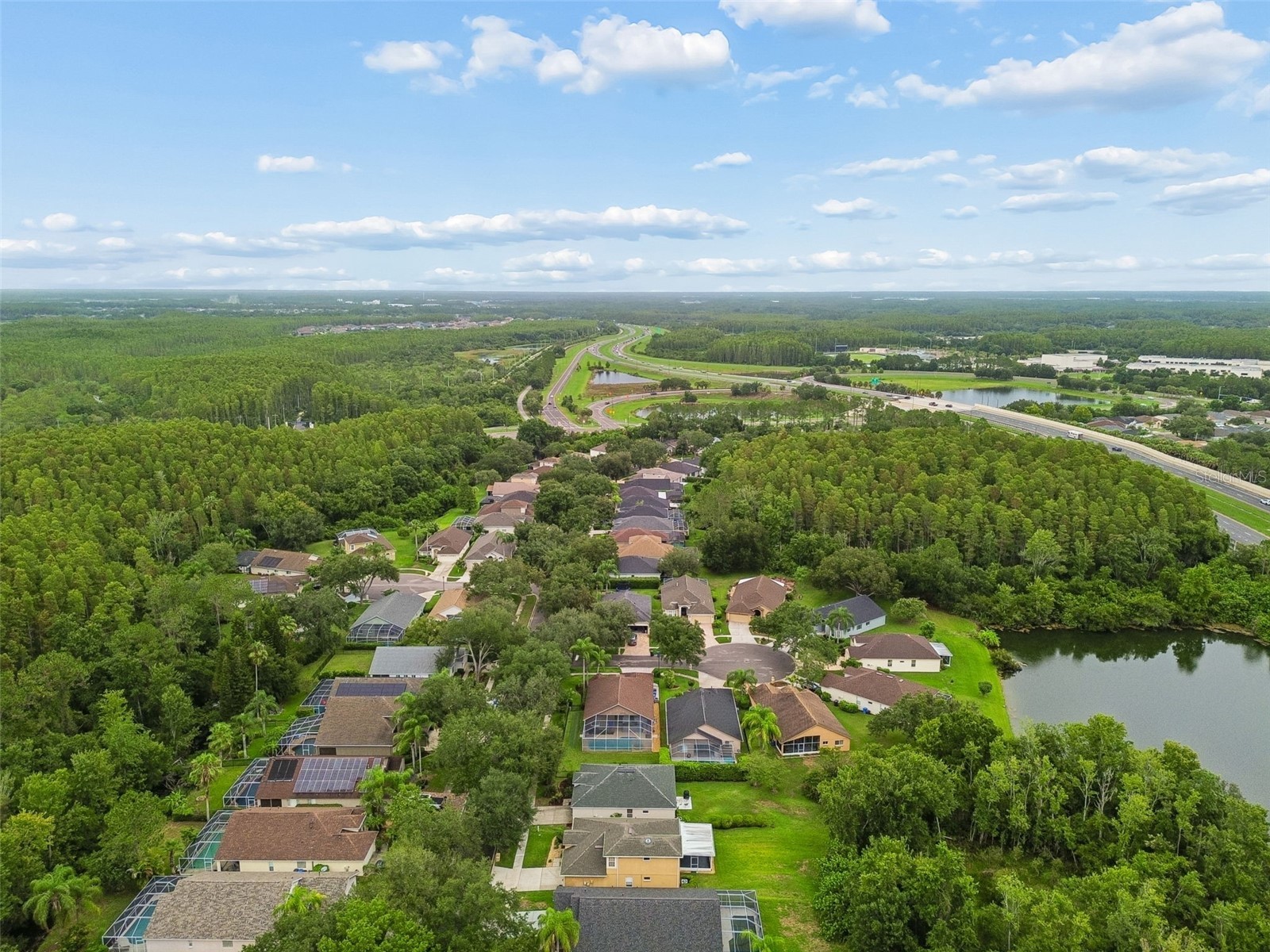 19029 Chemille Drive Lutz FL 33558 TB8529610 image68