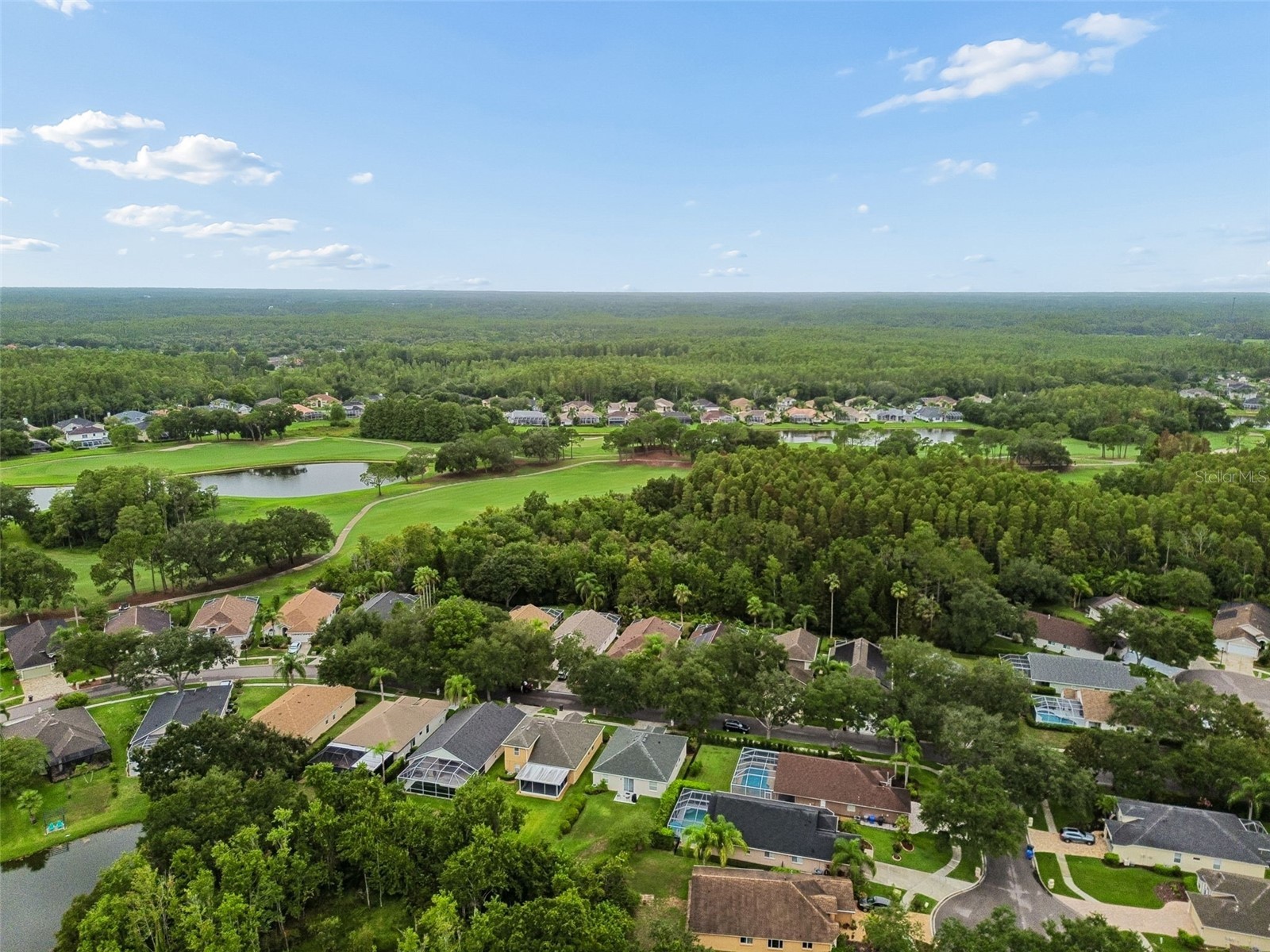 19029 Chemille Drive Lutz FL 33558 TB8529610 image69