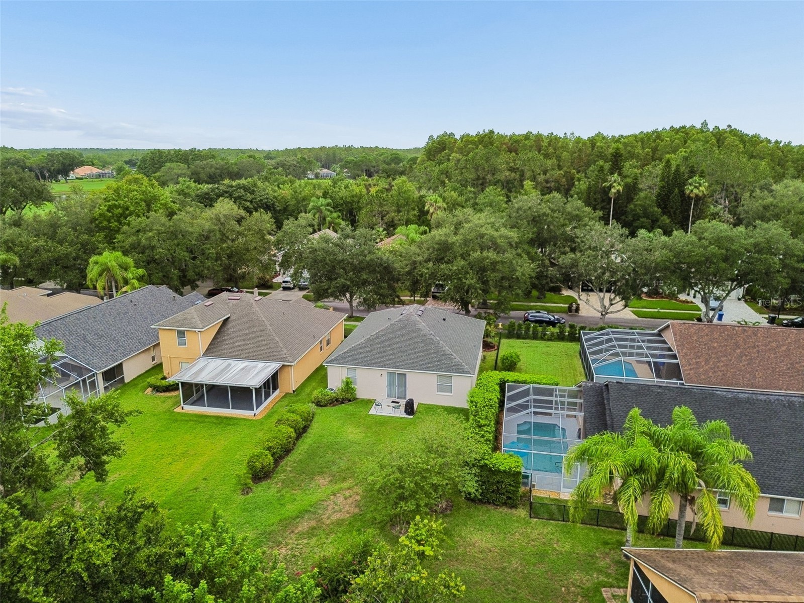 19029 Chemille Drive Lutz FL 33558 TB8529610 image71